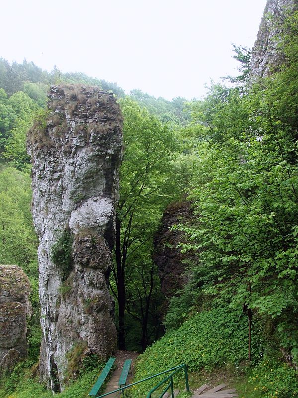 dol_mnikowska-03.jpg