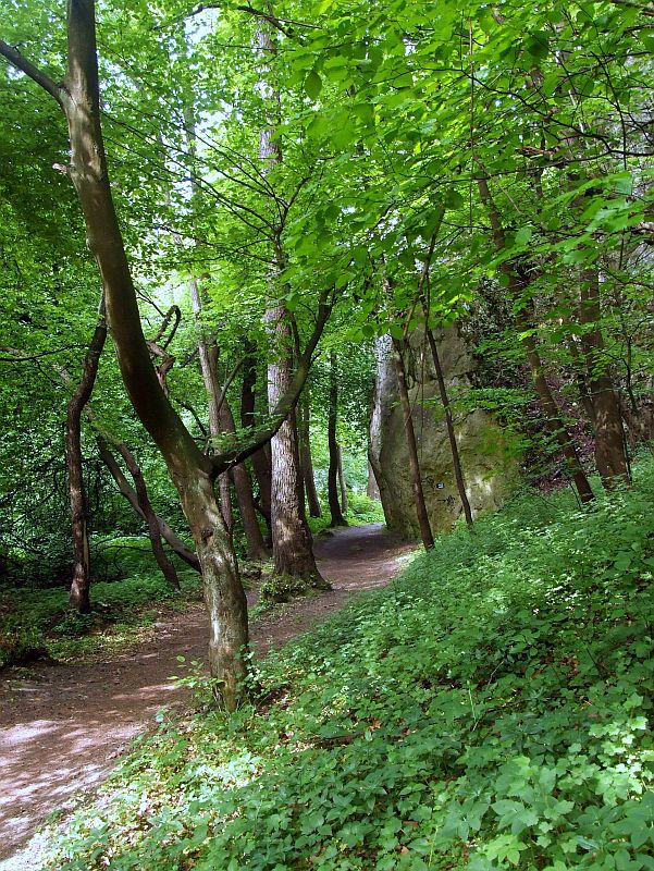 dol_mnikowska-05.jpg