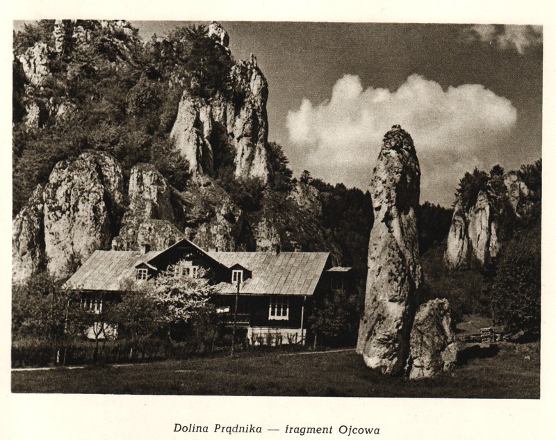 igła.jpg