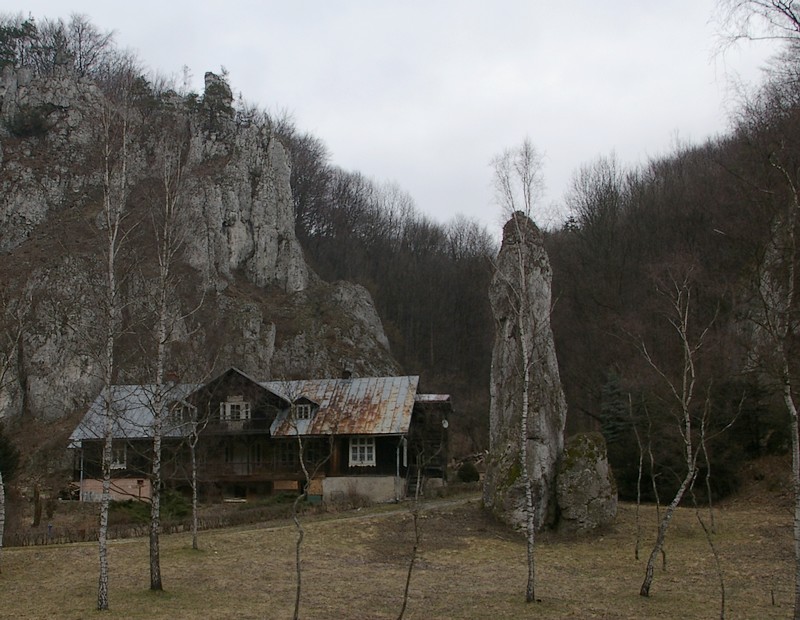 igła1.jpg