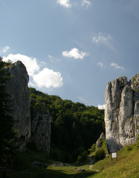 bolech.jpg