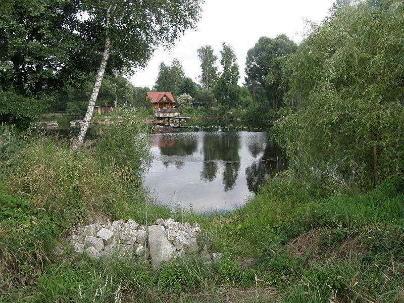 P7110013.jpg