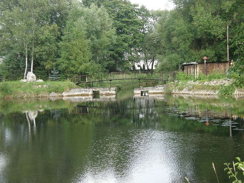 P7110023.jpg