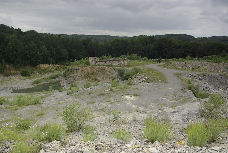 Dębnik dolny 1.jpg