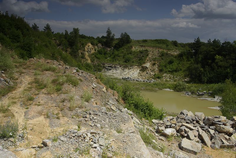 Dębnik marmur 2.jpg
