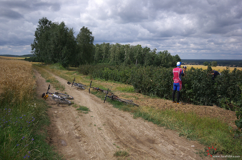 row_260709_8.jpg