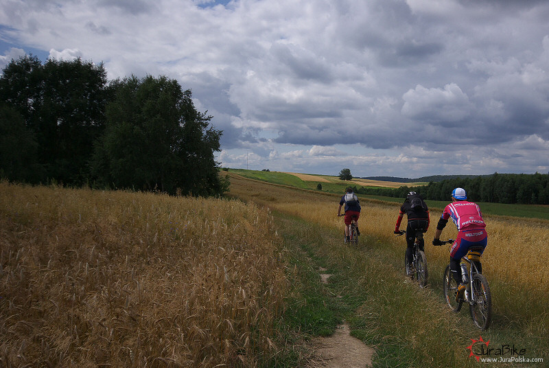 row_260709_9.jpg
