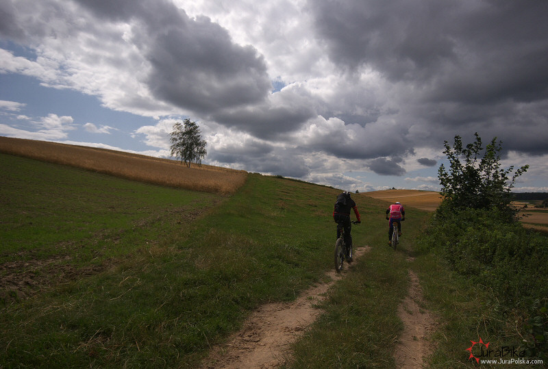 row_260709_10.jpg