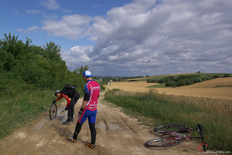 row_260709_12.jpg