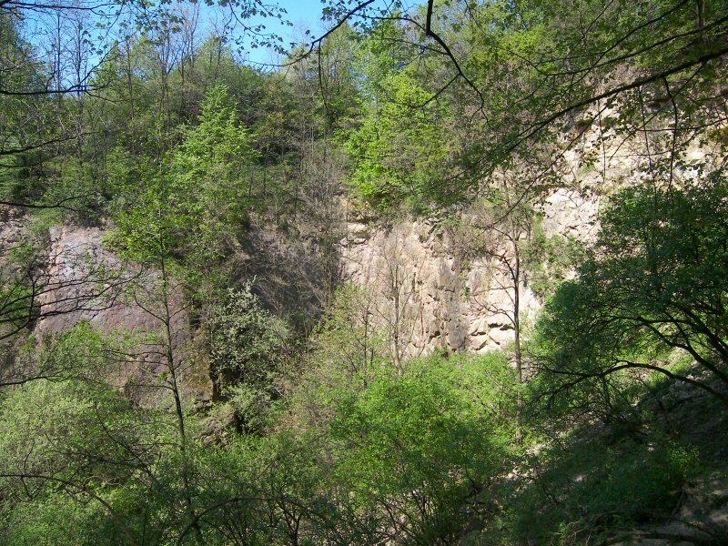 10507_3.jpg