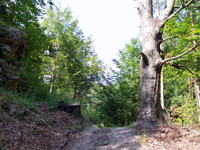 07_pod_mirowem.jpg