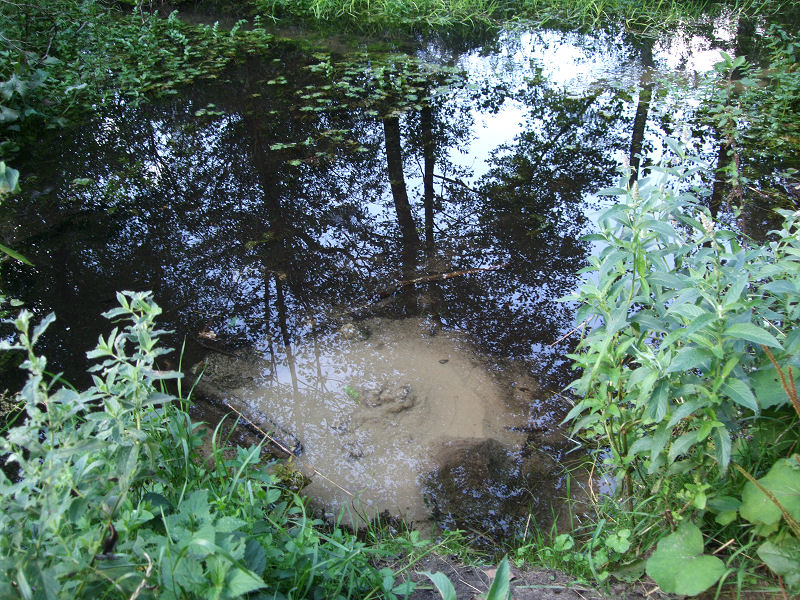 06.jpg