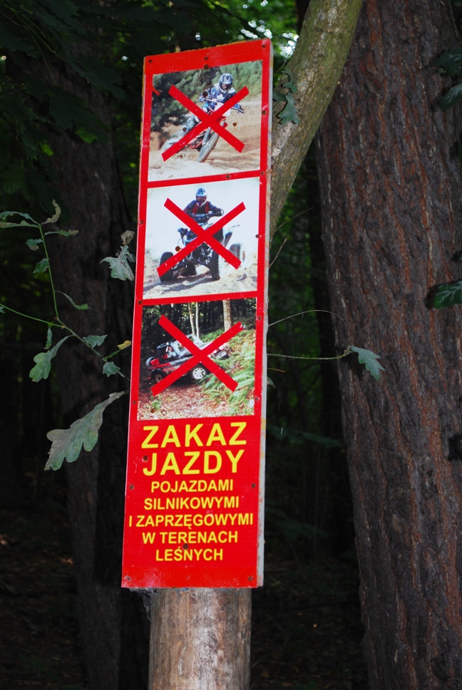 DSC_0480.JPG