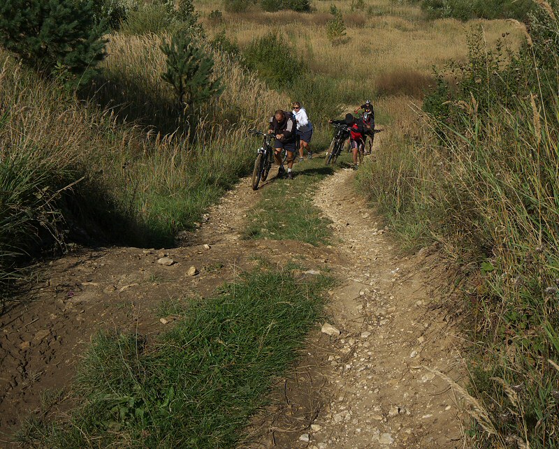 190909_kam.jpg