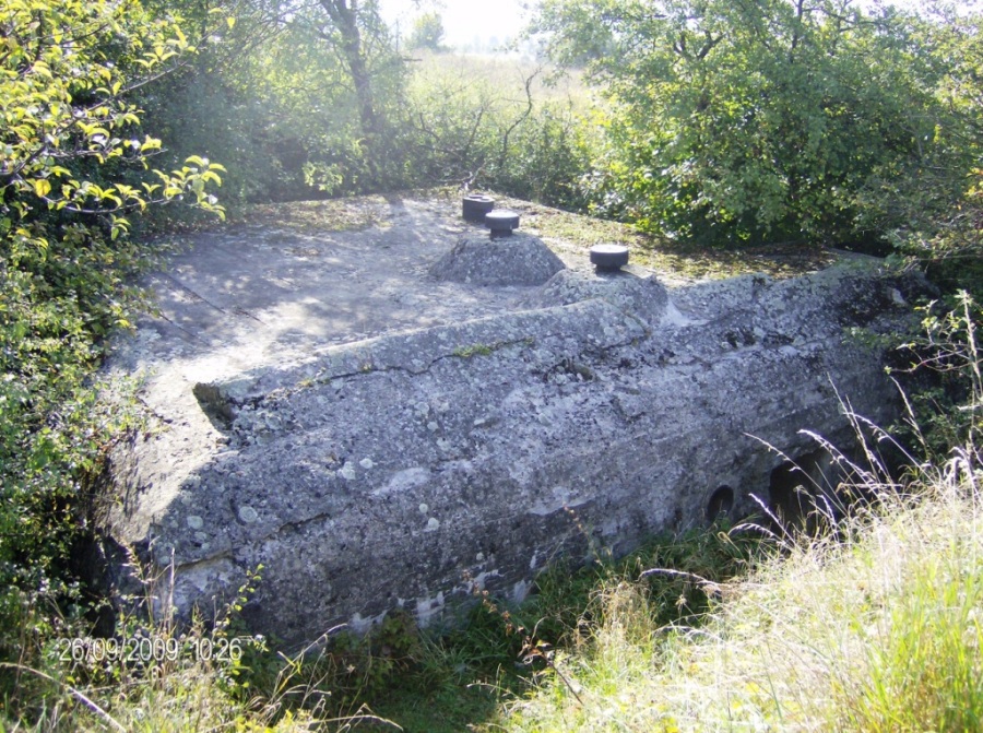 HPIM4037.JPG