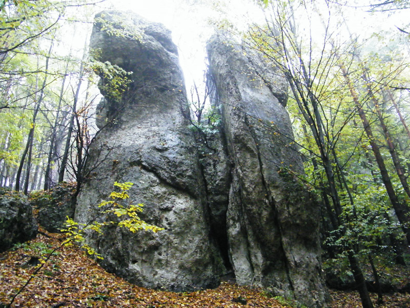 DSCF0048.JPG