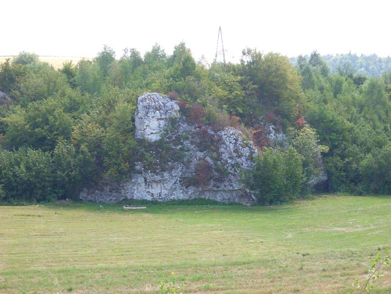 skała1.jpg