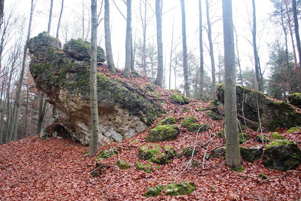 DSC_0307.JPG