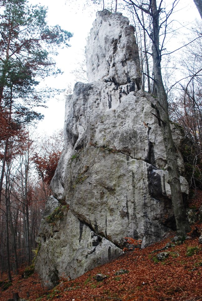 DSC_0319.JPG