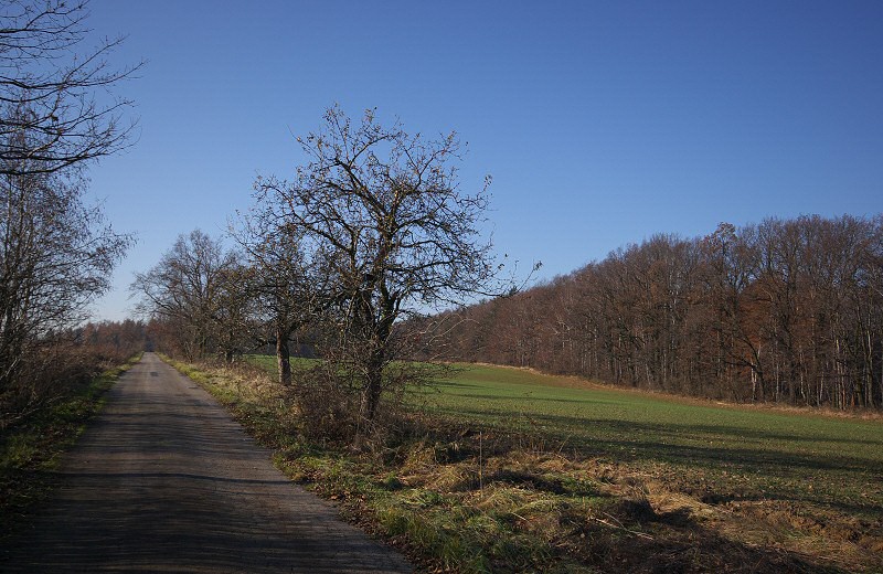 zag1_201109.jpg