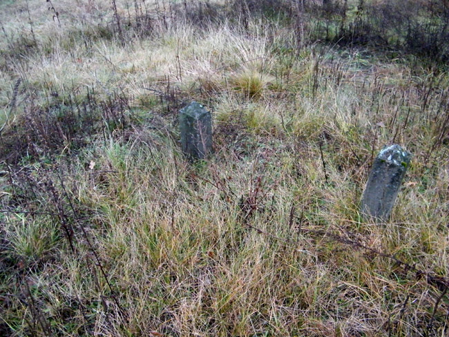 DSCF0009.JPG