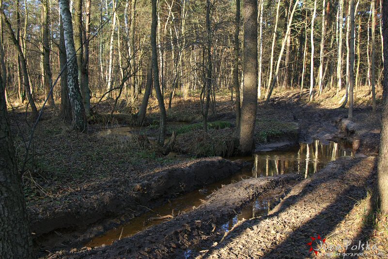 off_myszkow_3.jpg
