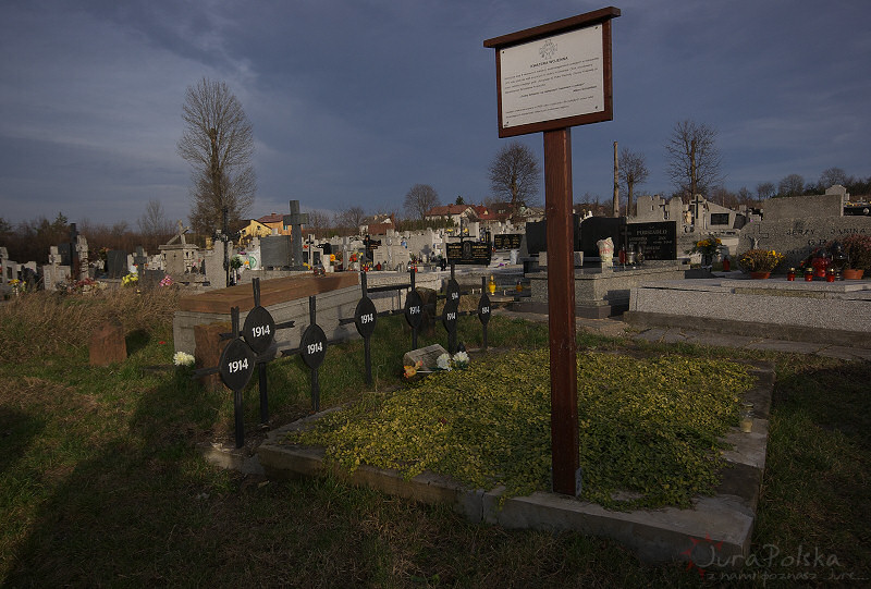 kromolow_301109.jpg