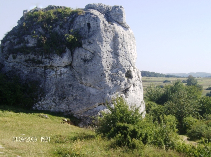 10.JPG