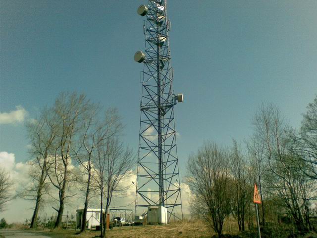 w.jpg
