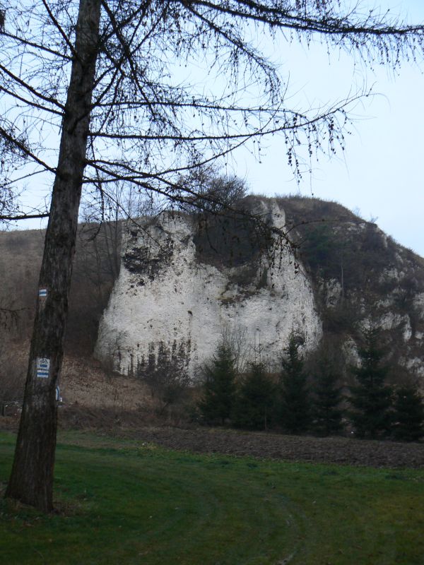 P1160761.JPG
