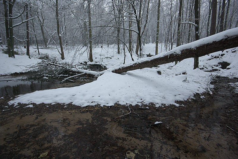 Dolina Wiercicy3.jpg