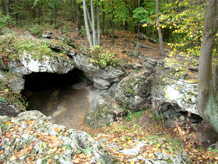 DSC02719_Warstwa 1.jpg