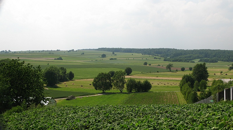 fot.1.jpg