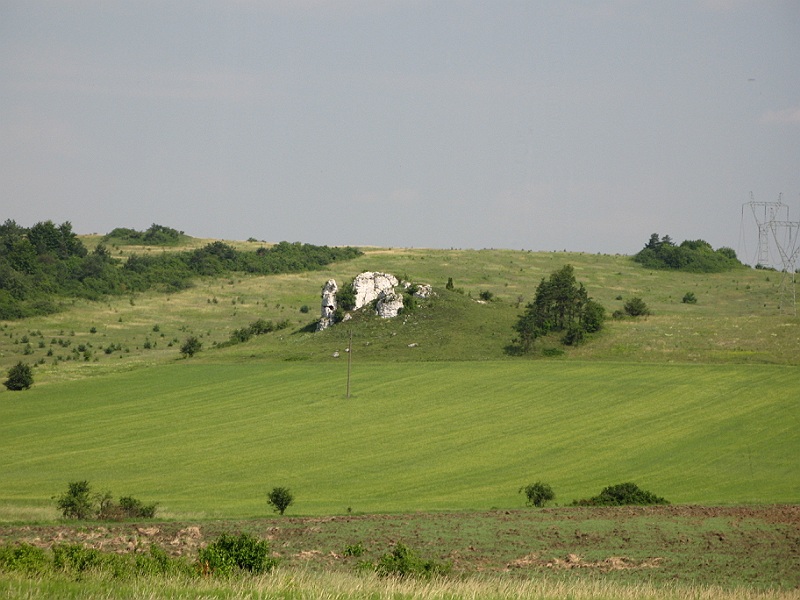 fot.4.jpg
