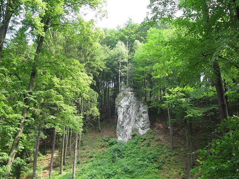 fot.7.jpg