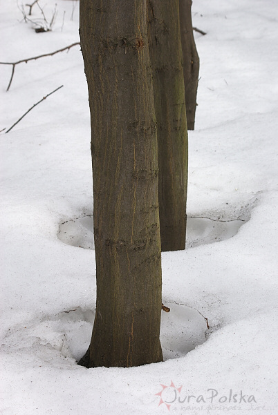 200310_5.jpg