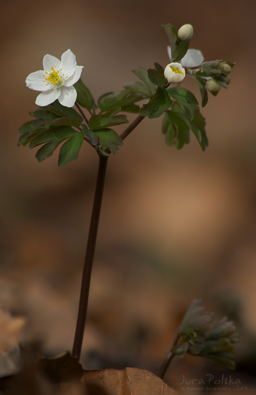 300310_3.jpg