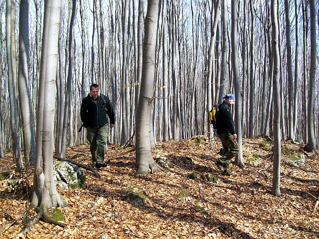 4-sloneczna_pora.jpg