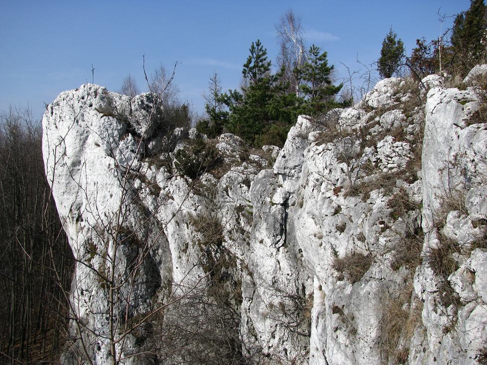 przew1.JPG