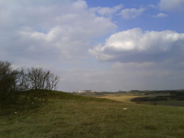 DSC02332.JPG