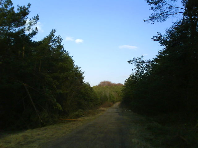 DSC02390.JPG