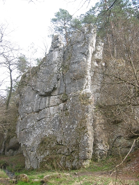 101-0151_IMG.jpg