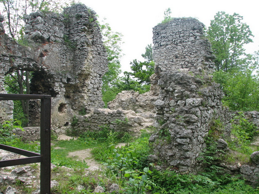 smolen.sciana.jpg