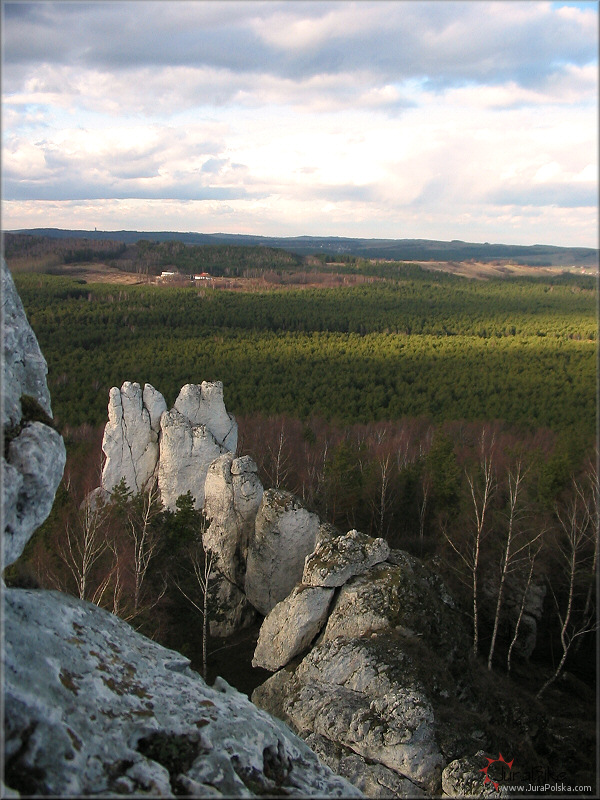 Wzgrze Kooczek, Podlesice