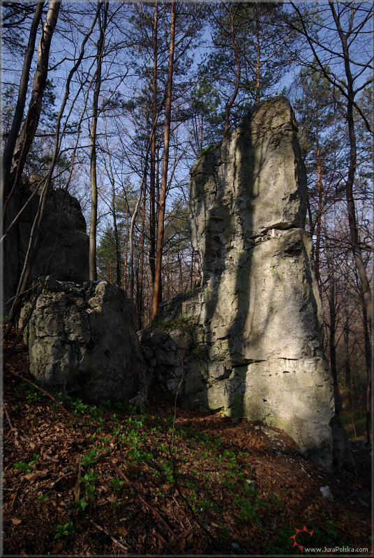 Skaki Morskie
