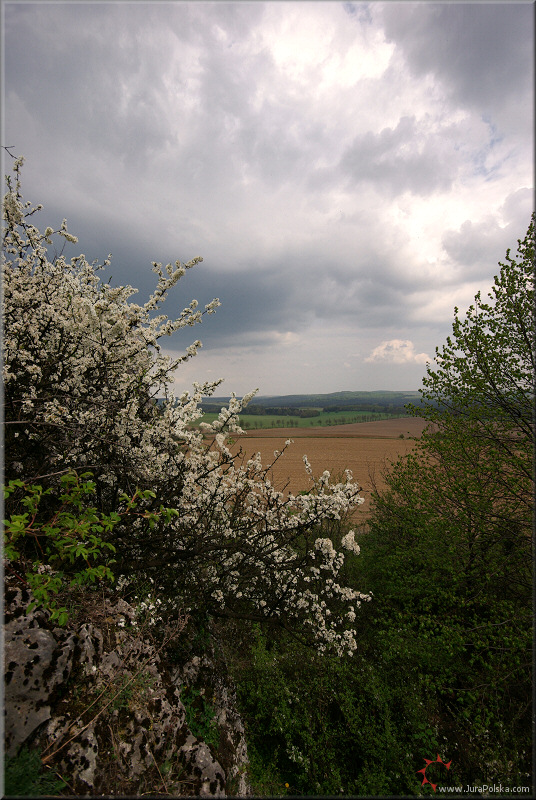 Okolice erkowic