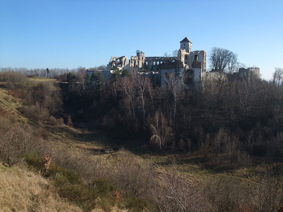 Zamek Tenczyn