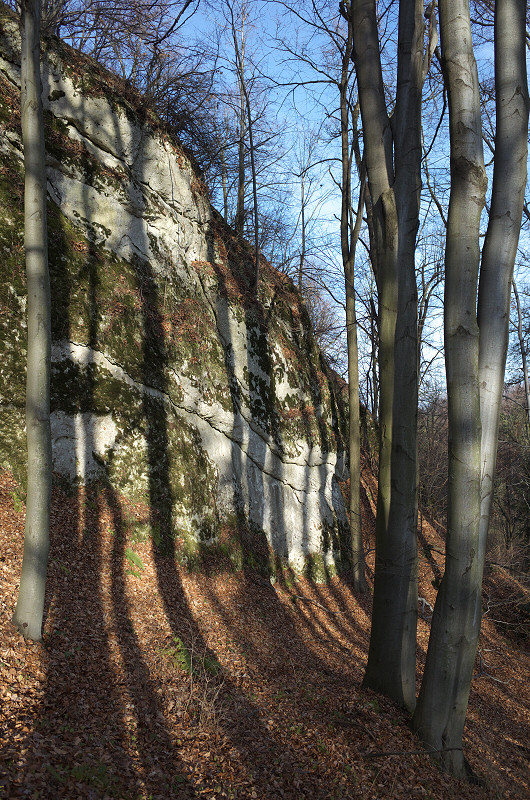 Dolina Wodca