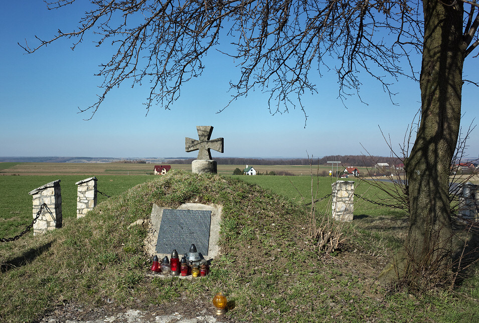 Kurhan z Welkiej Wojny midzy Marianowem a Rzeplinem