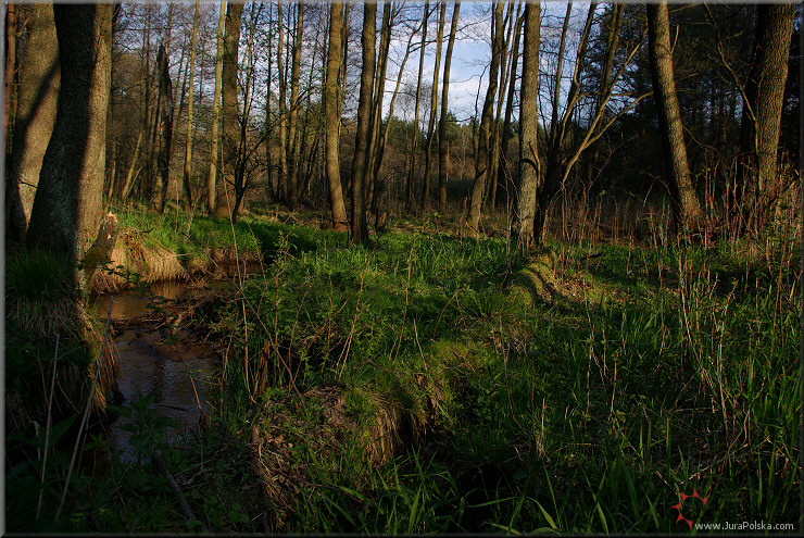 U podna kuesty, Wodowice